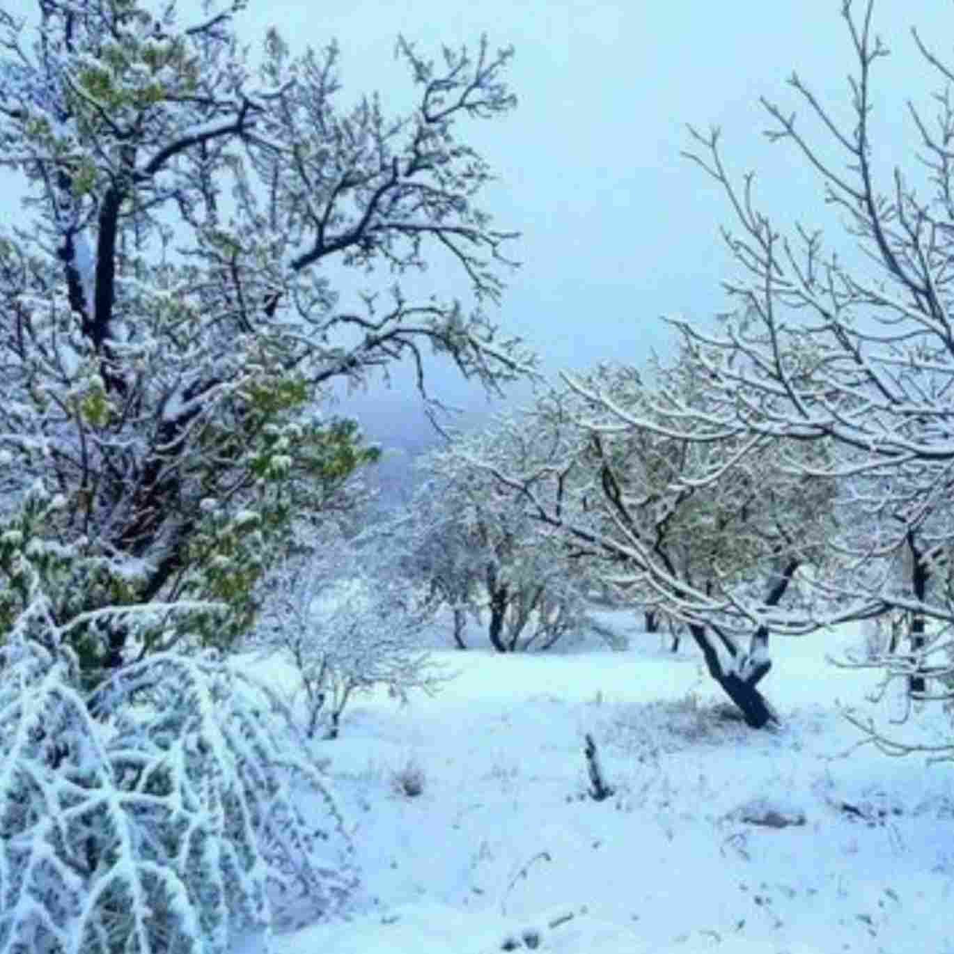 دانلود اهنگ  میگفتی تویی که با من همزبونی